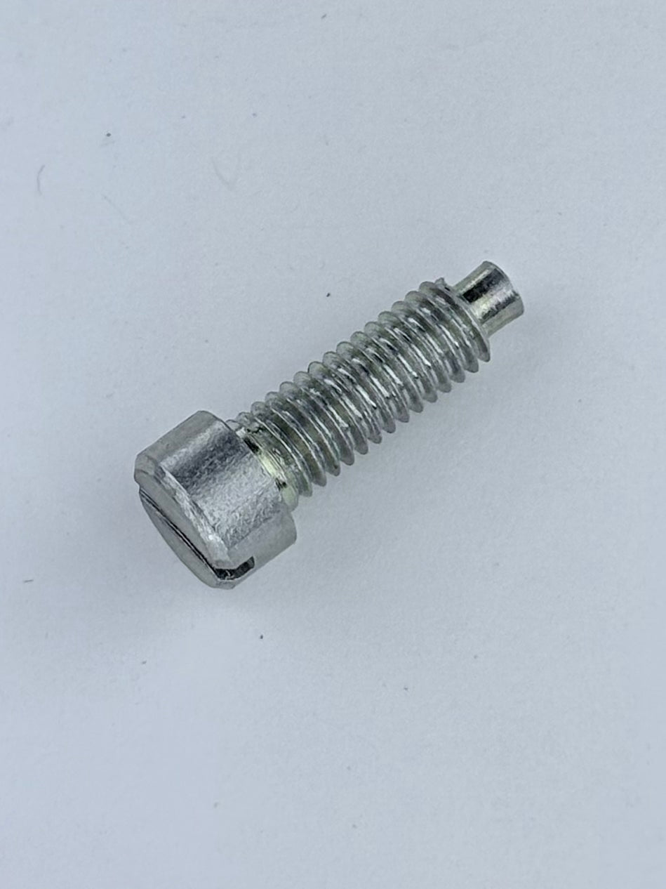 16/009 - THROTTLE FRICTION SCREW