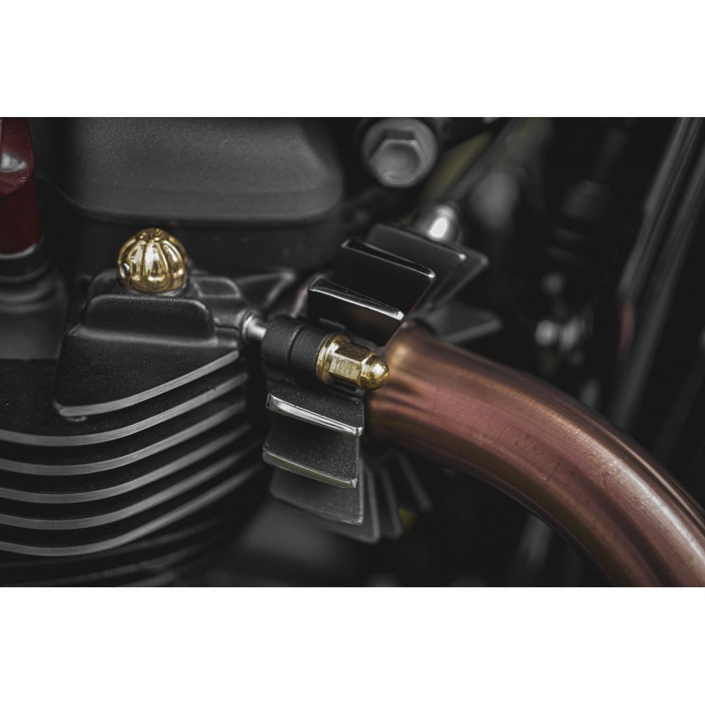 Motone Magnum Force - Brass Exhaust Clamp Nuts