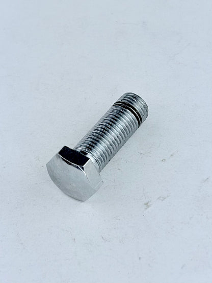 220013 - BOLT - HEADLIGHT MOUNT - CHROME
