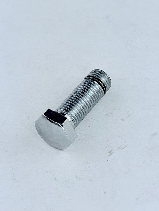 220013 - BOLT - HEADLIGHT MOUNT - CHROME